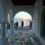Argonauta