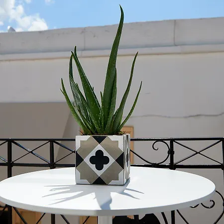 Argonauta Hotel Páros