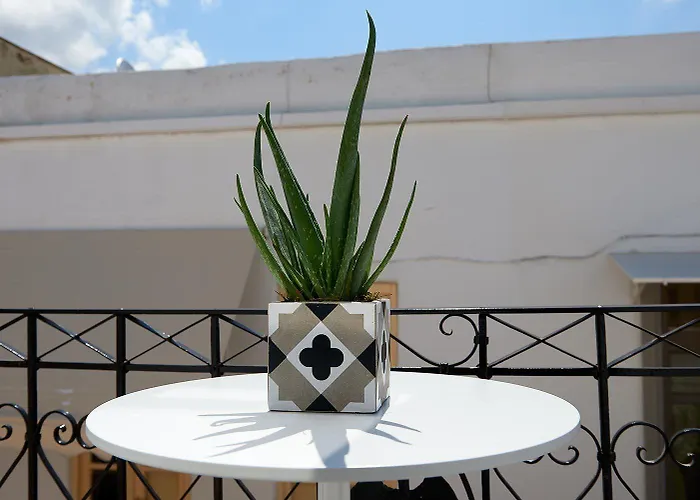 Argonauta Hotel Páros