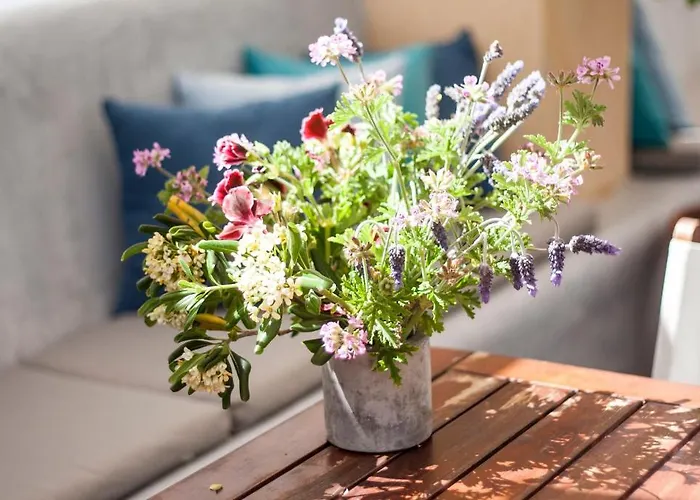 Argonauta Ξενοδοχείο 3*